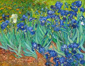 Vincent Van Gogh - Irises [1889] - (own a famous paintings reproduction)