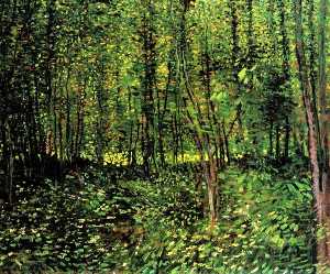 Vincent Van Gogh - Trees and Undergrowth 2 - (Buy fine Art Reproductions)