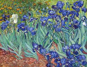 Vincent Van Gogh - Irises - (buy oil painting reproductions)