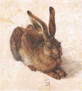 Albrecht Durer - Young Hare - (buy paintings reproductions)