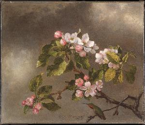 @ Martin Johnson Heade (327)