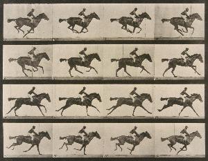 @ Eadweard J Muybridge (114)