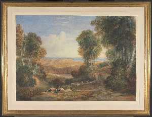 @ David Cox (492)