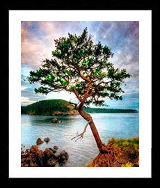 Photos Landscape -  Hand Painted Oil Painting